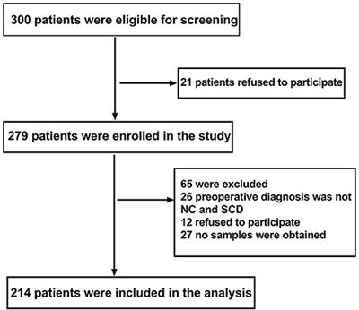 Subjective Cognitive Decline May Be Associated With Post-operative Delirium in Patients Undergoing Total Hip Replacement: The PNDABLE Study